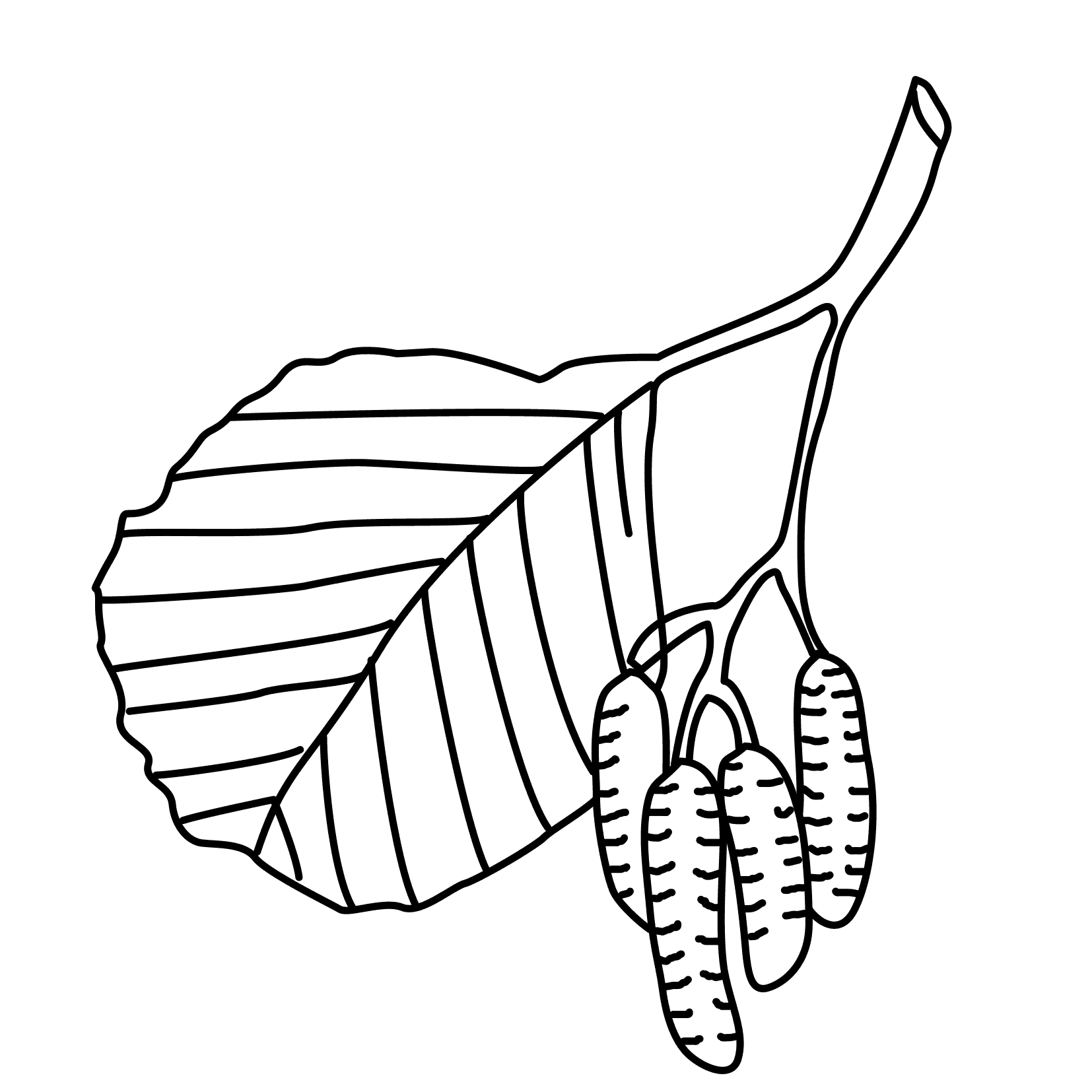 Coloring pages trees free downloads Coloring pages trees free downloads