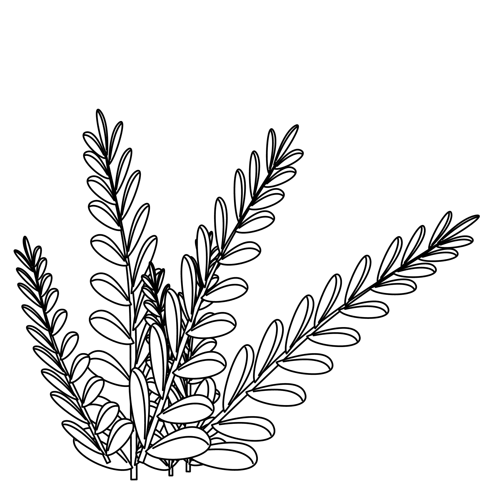shrubbery